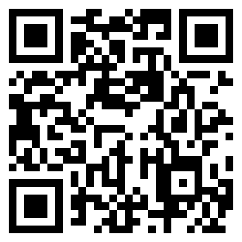 QR Code leading to https://wedonothaveawebsite.com/